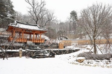 수목원은 지금(상세) : 영흥수목원 > 수목원이야기 > 수목원은 지금 새하얀 영흥수목원