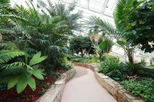 수목원 명소(상세) : 영흥수목원 > 수목원이야기 > 수목원 명소 영흥수목원 전시온실(내부)