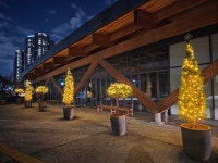 수목원은 지금(상세) : 영흥수목원 > 수목원이야기 > 수목원은 지금 자연의 겨울, 영흥숲의 크리스마스