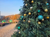 수목원은 지금(상세) : 영흥수목원 > 수목원이야기 > 수목원은 지금 자연의 겨울, 영흥숲의 크리스마스