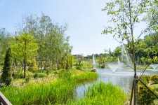 수목원 명소(상세) : 영흥수목원 > 수목원이야기 > 수목원 명소 영흥수목원 수연지, 겨울정원