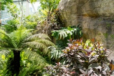 수목원 명소(상세) : 영흥수목원 > 수목원이야기 > 수목원 명소 2025년 영흥수목원 전시온실