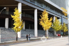 서울여자대학교