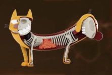 Important Toy News: Fred Flintstone is big, but Unicron is bigger