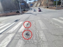 활동 및 처리상황 상세 - 활동 및 처리상황 - 생활민원처리 - 종합민원안내 - 민원안내 - 태백시청 활동 및 처리상황 | 태백시청