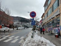 활동 및 처리상황 상세 - 활동 및 처리상황 - 생활민원처리 - 종합민원안내 - 민원안내 - 태백시청 활동 및 처리상황 | 태백시청