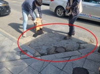 활동 및 처리상황 상세 - 활동 및 처리상황 - 생활민원처리 - 종합민원안내 - 민원안내 - 태백시청 활동 및 처리상황 | 태백시청