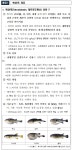 복어는 반드시 전문가가 조리한 것만 먹기!
