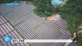 단독) 태양광 산사태, 경북에서만 10여건 발생 - 국민의힘 마이너 갤러리