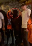 Scary Farm with Kourtney & Travis Barker | The Irish Sun Kim and Pete spotted holding hands during trip with Kourtney & Travis