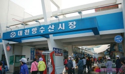 ::축제 뉴스 || 더페스티벌 보령으로 바다여행 떠나요~