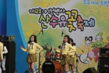 아직이른 봄꽃축제 :: 축제 리뷰 || 더페스티벌 아직이른 봄꽃축제 :: 축제 리뷰