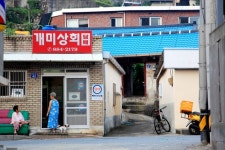 하동에서 온 편지 (36) :: 자유게시판 || 더페스티벌 하동에서 온 편지 (36) :: 자유게시판 