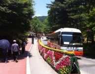 세월호 사고로 위축된 문화관광 공연예술 축제이벤트 경기 회복시킨다 :: 전체뉴스 || 더페스티벌 세월호 사고로 위축된 문화관광 공연예술... 
