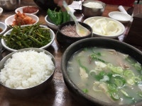 ::축제 정보 센터 || 페스티벌 [부산맛집]범일동 하동식당 돼지국밥