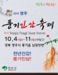 2015 영주풍기인삼축제 :: 축제정보 || 더페스티벌 2015 영주풍기인삼축제 :: 축제정보