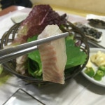 ::축제 정보 센터 || 페스티벌