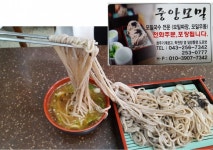 ::축제 정보 센터 || 페스티벌 [청주맛집] 중앙모밀