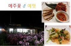 ::축제 정보 센터 || 페스티벌 [파주맛집]메주꽃 예멋 한정식 