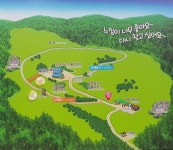 ::축제 정보 센터 || 페스티벌 대관령양떼목장