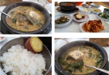 ::축제 정보 센터 || 페스티벌 [보성맛집] 수 일억조횟집 율포해수욕장맛집