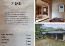 ::축제 정보 센터 || 페스티벌 [완주맛집] 기양초