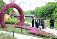 정원도시 노원구 당현천 매력정원 조성 등 곳곳 변신 :: 축제/관광 || 더페스티벌 정원도시 노원구 당현천 매력정원 조성 등 곳곳 변신 :: 축제/관광