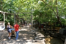 Food and Fatties of Middle America!