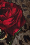 DOLCE & GABBANA Leopard-print cotton and silk-blend tulle dress | THE OUTNET