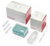 Neon™ Transfection System 10 μL Kit 96 x 2 | Buy Online | Invitrogen™