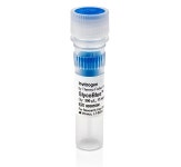 GlycoBlue™ Coprecipitant (15 mg/mL)