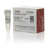 Oligo d(T)16 (50 μM) 5 nmol, 100 μL | Buy Online | Invitrogen™ | thermofisher.com