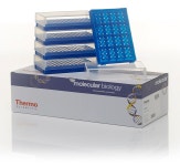Preparation Rack, 96-well, with cover 5 racks | Buy Online | Thermo Scientific™