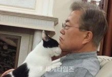 퍼스트캣 찡찡이 ′문재인 대통령 품에′