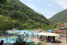 [세계로컬핫뉴스] 단양 천동물놀이장서 시원한 여름 보내세요
