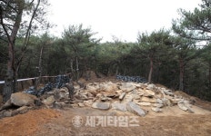 [세계로컬핫뉴스]‘삼화동 고려고분 문화재지정 앞두고 있다!