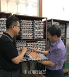 [세계로컬핫뉴스]상록구, 「식용란수집판매업소」여름철 특별 관리