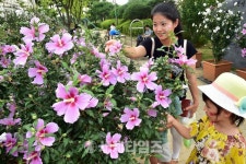 [세계로컬핫뉴스] 수원시, 민간 분야 조경관리를 위한 7대 정책과제 추진