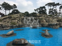 [세계로컬핫뉴스] 올해에는 가족 피크닉장이 있는 문암생태공원으로 놀러 오세요