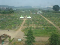 [세계로컬 핫 뉴스] 2019 파주희망농장 접수 시작! [세계로컬 핫 뉴스]  2019 파주희망농장 접수 시작!