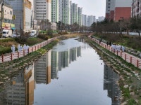 [세계로컬핫뉴스] 삼산1동 주민들, 서부간선수로 산책로 주변 방역 봉사