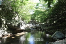[세계로컬핫뉴스] 전남 7월 추천관광지…‘슬기로운 안심’ 계곡 여행