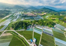 [세계로컬핫뉴스] 남원 유곡리·두락리 가야고분군, 세계유산 등재신청 대상 선정