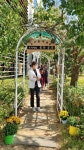 [세계로컬핫뉴스] 고창군립도서관, 문학정원 서로서로(書路書路)에서 가을을 즐기자