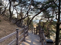 [세계로컬핫뉴스] 남원시, 금암공원 내 데크산책로 설치해 힐링쉼터 조성해