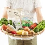 [세계로컬핫뉴스] 광진구, 임산부 대상 ‘친환경 농산물 꾸러미’ 지원