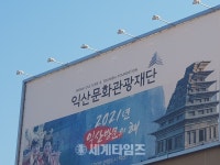 익산문화관광재단 S팀장, C팀장이 교육시간에 ＂대표이사에 맞춰서 일을 열심히 하려고는 하지 않아도 되지 않겠냐?＂