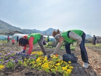 [세계로컬핫뉴스] 전주시 농업기술센터·도시농업연구소, 원색명화마을 체험농장서 도시농부 시민학교 교육 진행