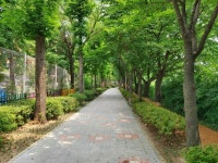 [세계로컬핫뉴스] 팔달구, 율현초 주변 녹지대 산책로조성 준공