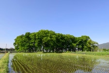남원시, 생태녹색관광 육성사업에 ‘백두대간 생태정거장 서어나무숲 ’Eco Station 선정!